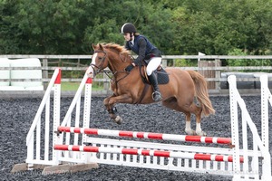 Class 6 - Fences not above 2'9